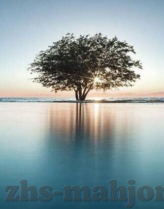 开云体育手机网页版登录-关于开云体育手机网页版登录的深度了解