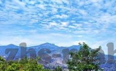 nigeria世界杯-尼日利亚世界杯之旅，足球之梦与民族荣耀的交响曲